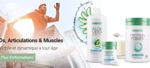 Os, Articulations & Muscles