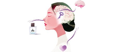 Illustration Robertet – Création parfum BE MAGICAL LR Health and Beauty