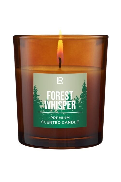 Bougie Parfumée LR Premium Forest Whisper 120g édition limitée pin épices herbes vanille 25 heures combustion verre ambré