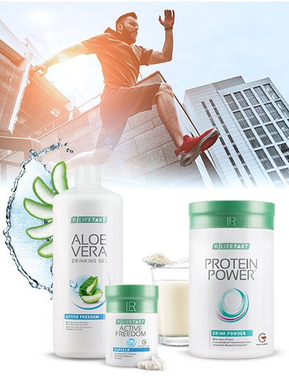 Os, Articulations & Muscles